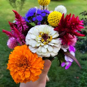 Petite Growers Choice Bouquet