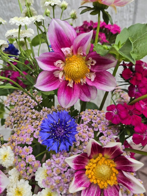 Seasonal Grower's Choice - Image 2