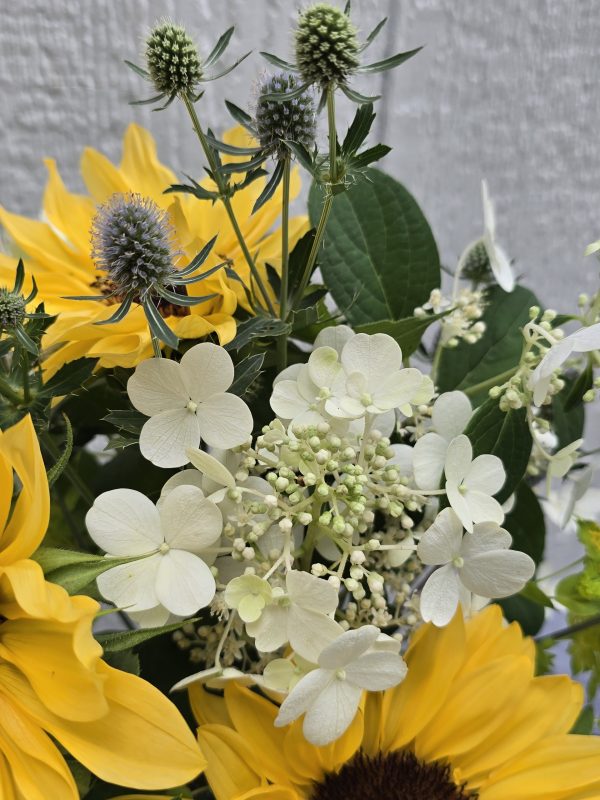 Seasonal Grower's Choice - Image 4