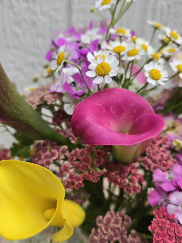 Seasonal Grower's Choice - Image 6