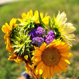 Sweet Sunshine Bouquet