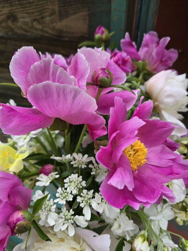 Premium Grower's Choice - Image 2