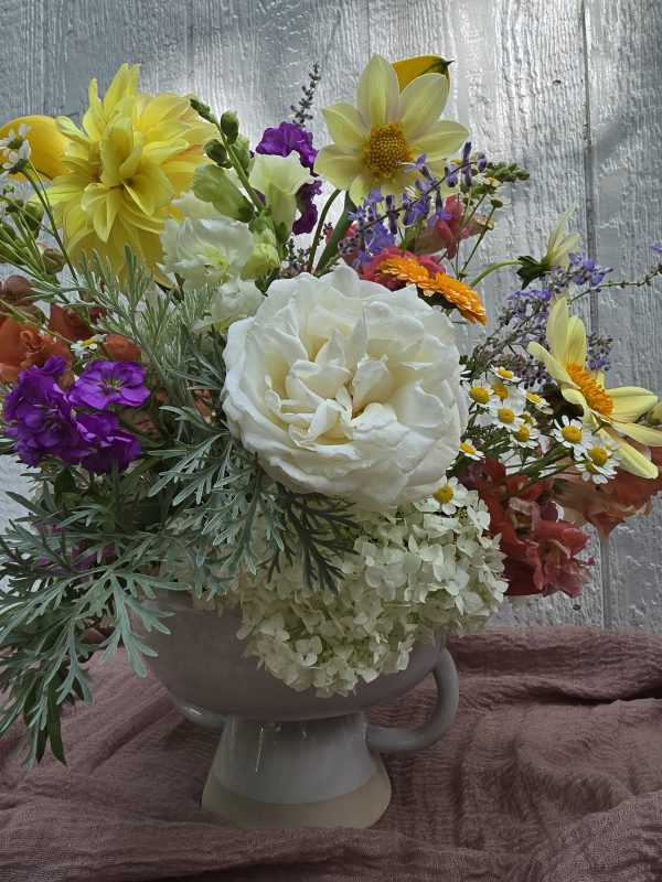 Premium Grower's Choice - Image 5