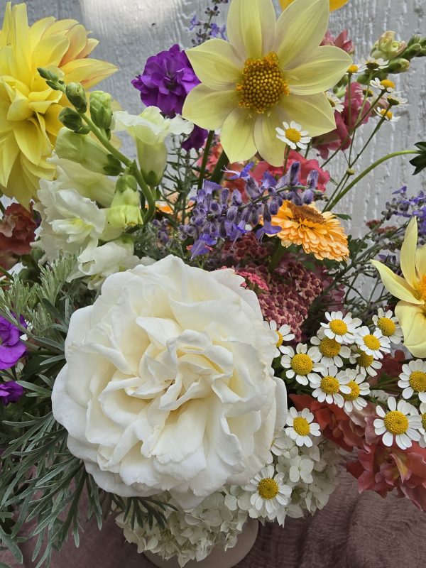Premium Grower's Choice - Image 6